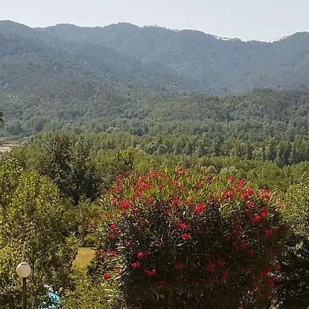 Catarino * Beverino